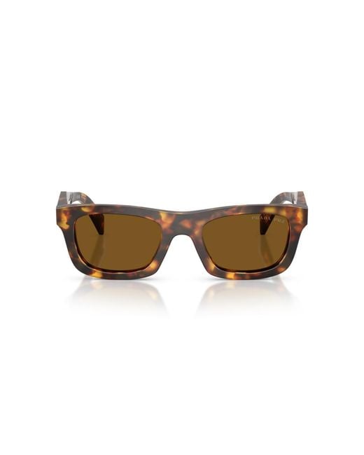 Prada Brown Polarized Sunglasses