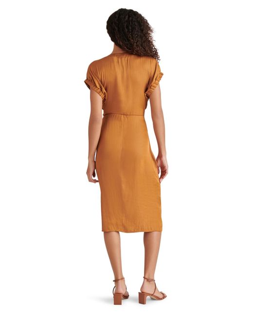 Steve Madden Multicolor Bruno Tie-waist Button-front Dress