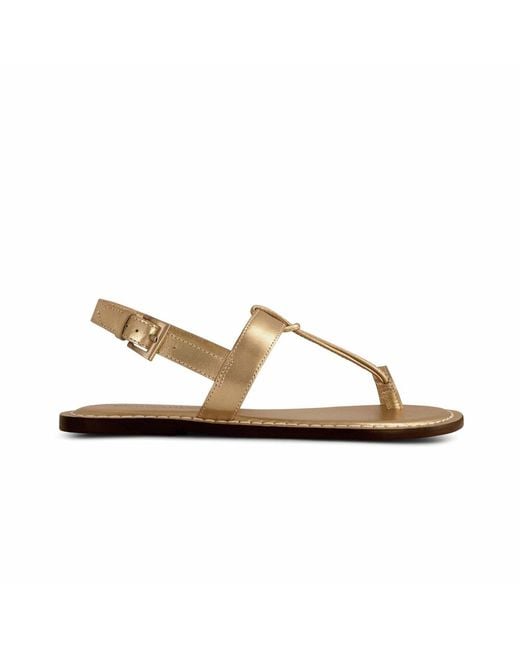 Bernardo Metallic Bernardo Maverick 2 Toe Ring Sandal