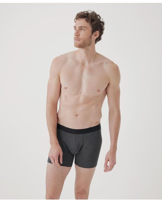 Pact Natural Organic Cotton Everyday Boxer Brief 4-pack for men