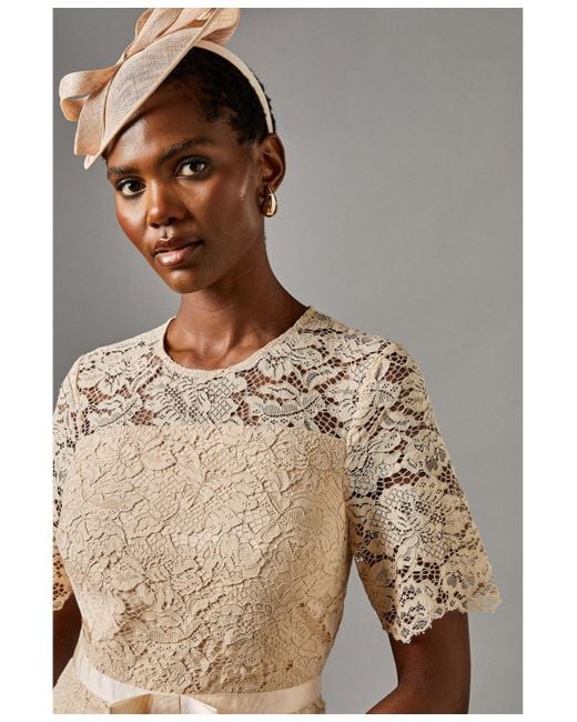 Coast Metallic Lace And Crepe Full Skirted Midi Dress