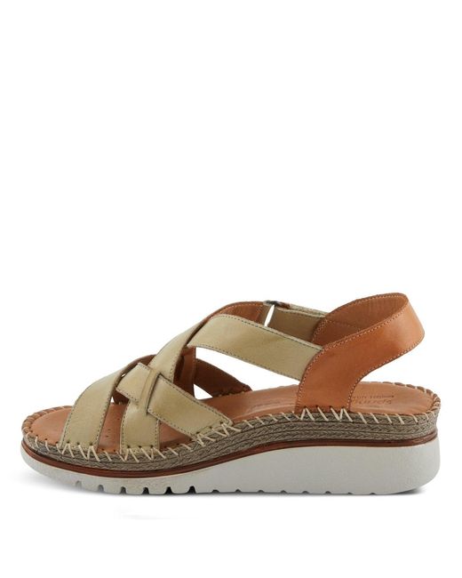 Spring Step Brown Migula Sandal