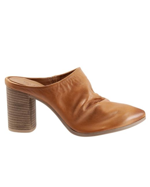 BUENO Brown Jealous Mule