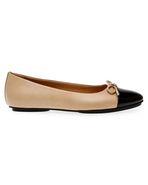 Anne Klein Multicolor Luci Cap Toe Ballet Flats