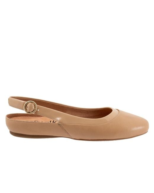 Softwalk® Brown Sheffield Slingback