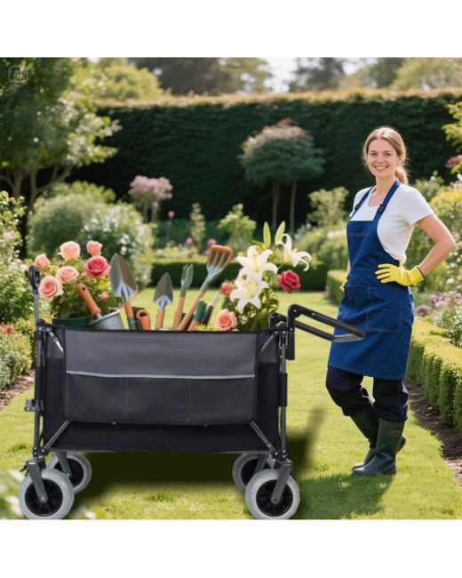 Mountaintop Black Multi-functional Push-pull Folding Wagon Cart