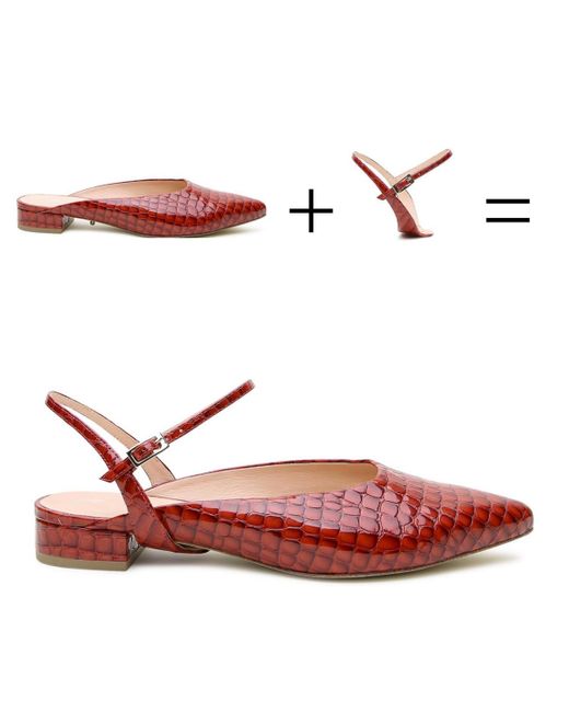 Alterre Red Amal Customizable Point Slides