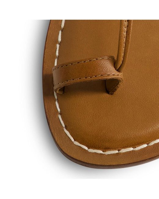 Bernardo Brown Bernardo Maverick 2 Toe Ring Sandal