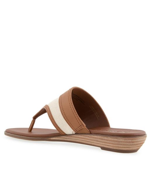 Aerosoles Brown Gesa Round Toe Thong Sandals