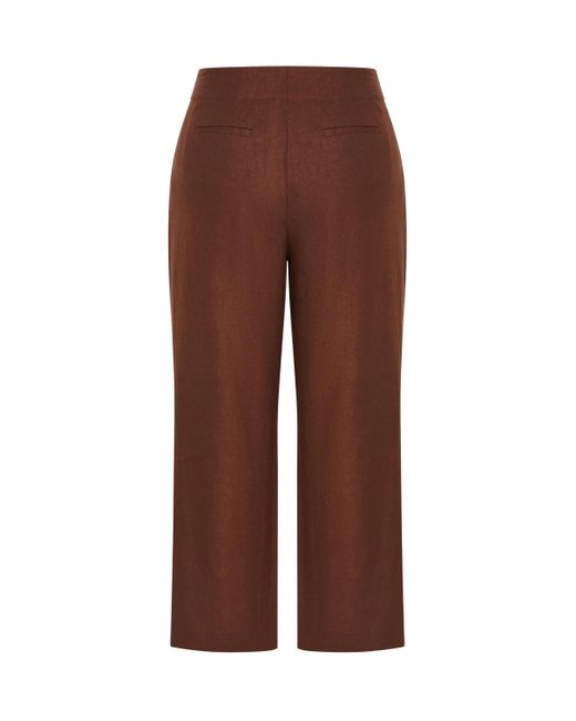 City Chic Brown Plus Size Vivien Pant