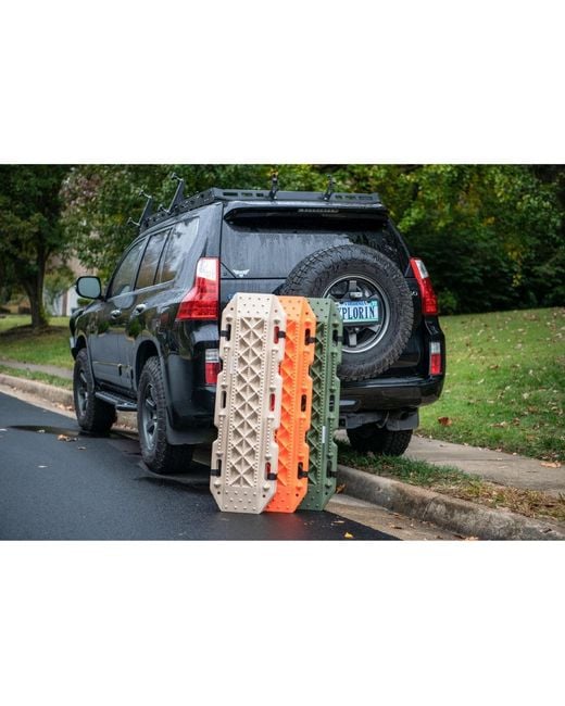 Maxsa Innovations Metallic Escaper Buddy