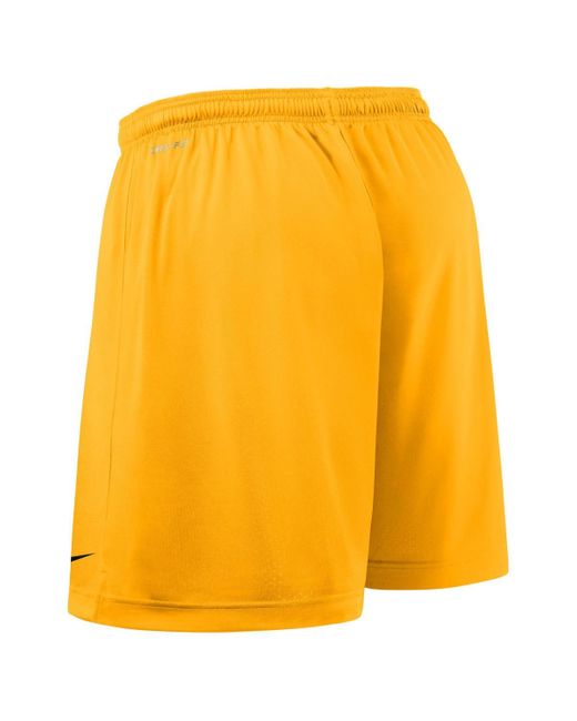 Nike Blue Black/gold Iowa Hawkeyes 2025 Sideline Reversible Performance Shorts for men