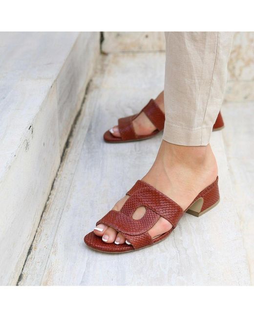 Alterre Brown Amal Customizable Sandal