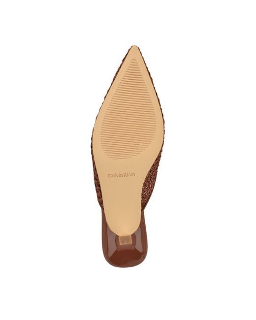 Calvin Klein Brown Camilly Slip-on Dress Pumps