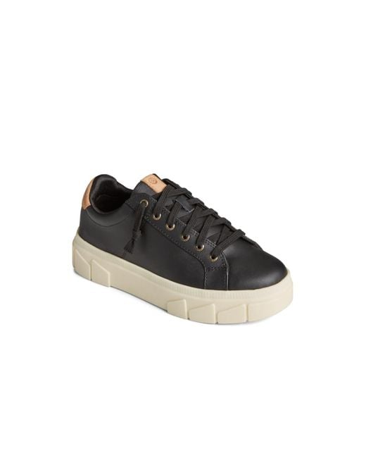 Sperry Top-Sider Black Winslow Round Toe Sneakers