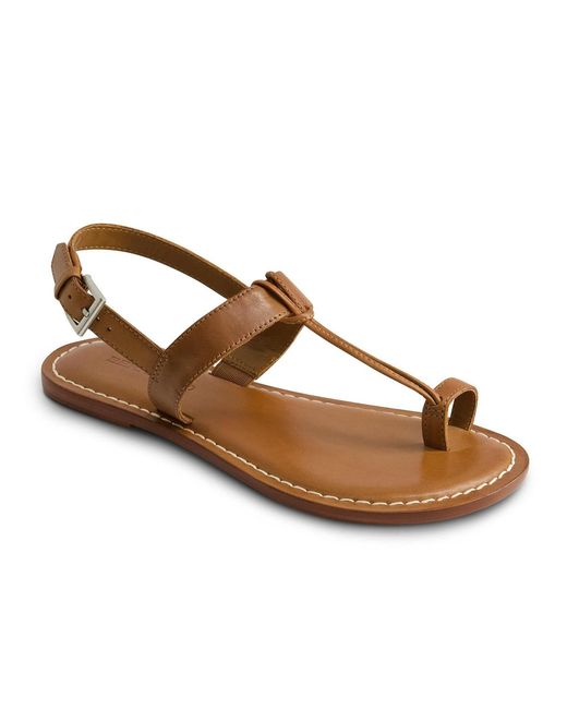 Bernardo Brown Bernardo Maverick 2 Toe Ring Sandal
