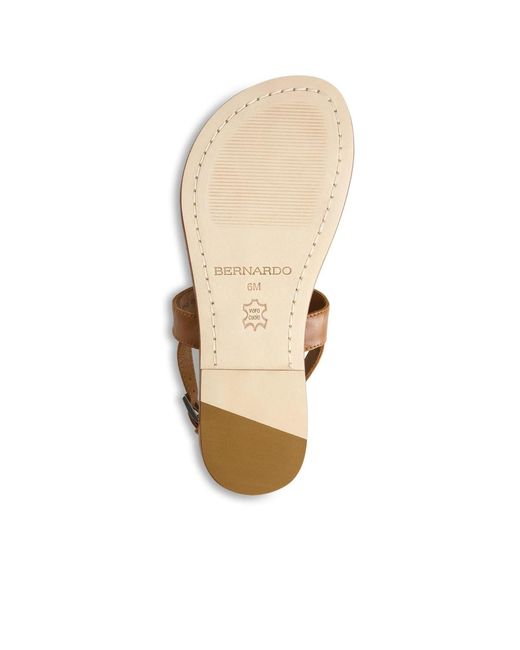 Bernardo Brown Bernardo Maverick 2 Toe Ring Sandal