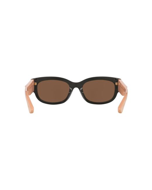 Gucci Brown Sunglasses