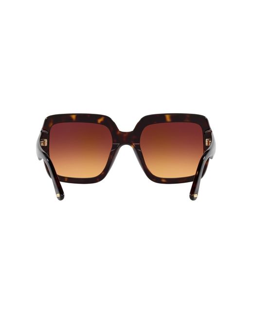 Tom Ford Brown Sunglasses