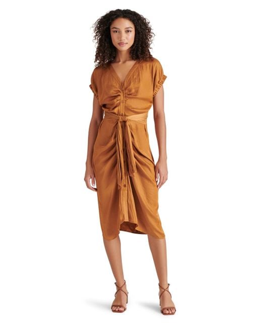 Steve Madden Multicolor Bruno Tie-waist Button-front Dress