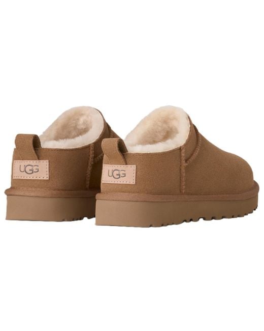 Ugg Brown Classic Micro Pull Tab Booties