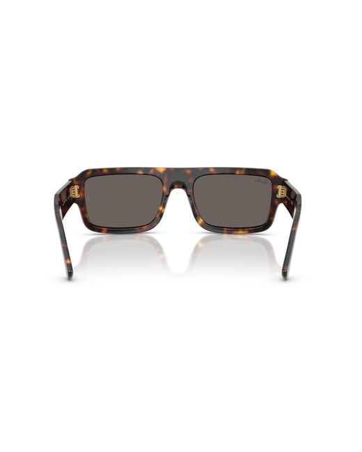 Ray-Ban Brown Lukas Sunglasses