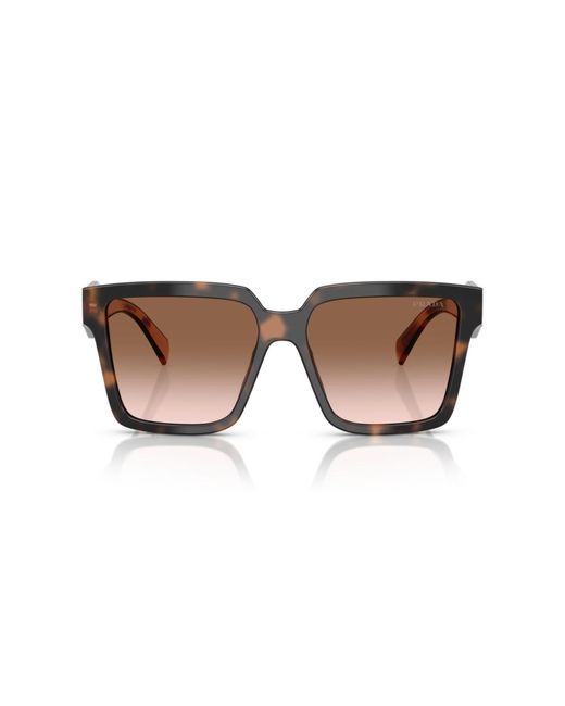 Prada Brown Large Sunglasses