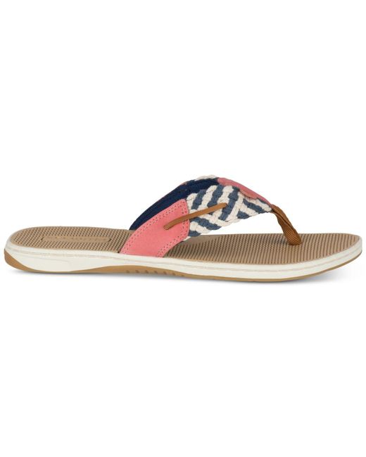 Sperry parrotfish hot sale flip flops
