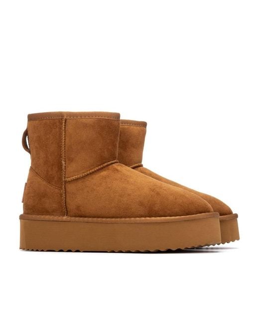 Xti Brown Winter Suede Booties By