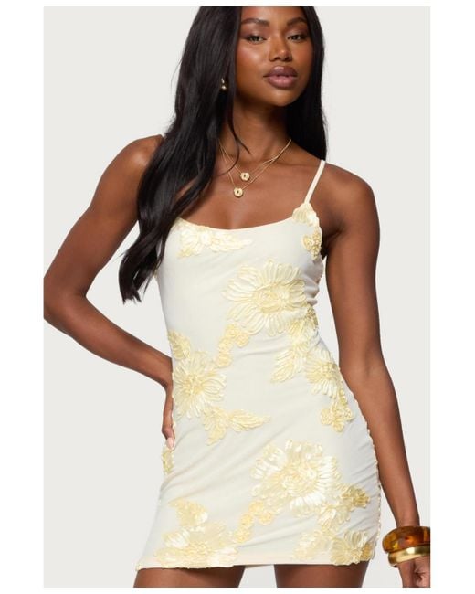 Edikted Natural Caya Embroidered Floral Mesh Mini Dress