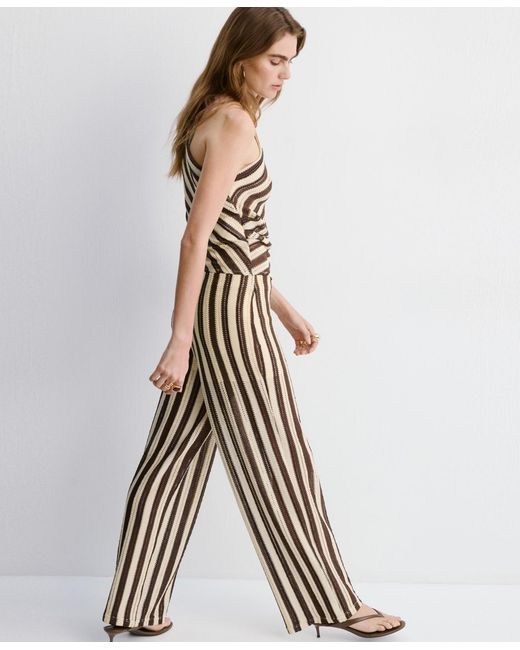 Mango Brown Stripes Knit Pants