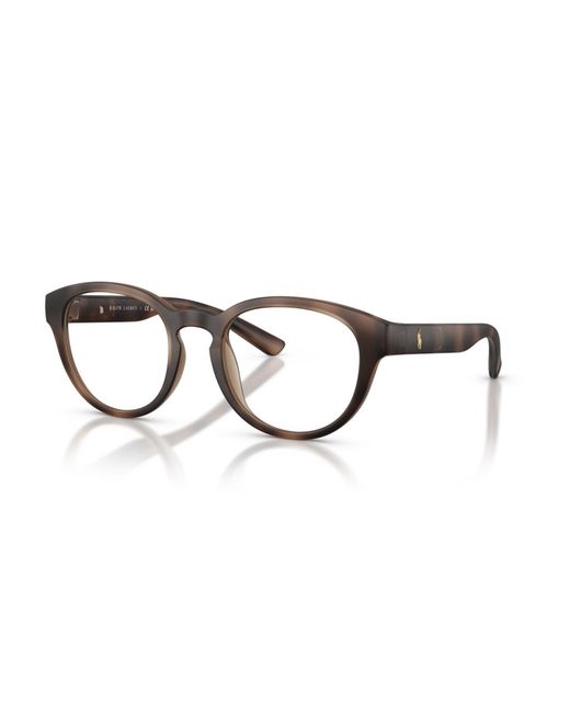 Polo Ralph Lauren Brown Panthos Eyeglasses for men