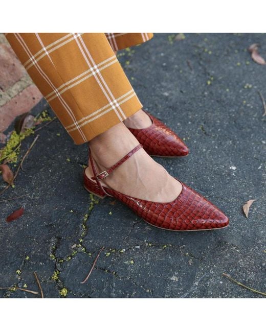 Alterre Red Amal Customizable Point Slides