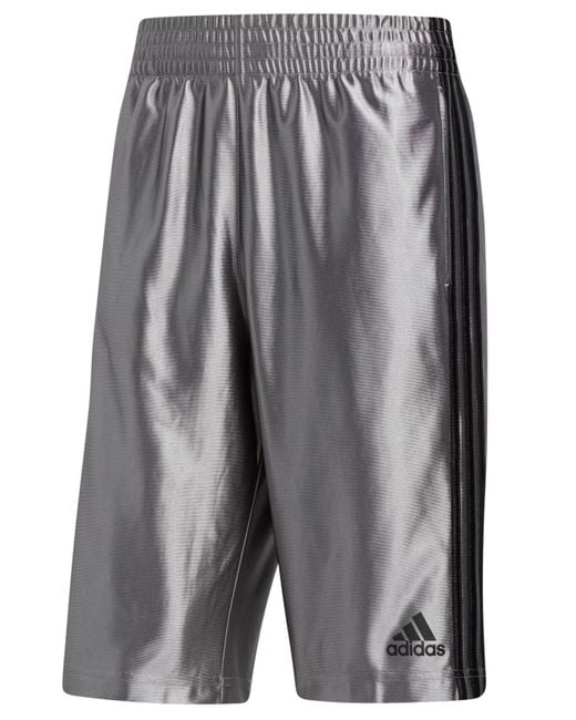 Adidas Gray Basic Shorts 4 (grey Three) Shorts for men