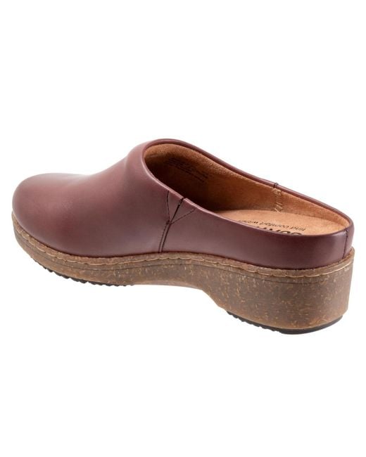 Softwalk® Brown Arvada Clog