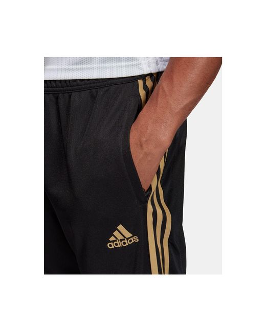 adidas Synthetic Tiro 19 Metallic Soccer Pants in BlackGold adidas Synthetic Tiro 19 Metallic Soccer Pants in BlackGold