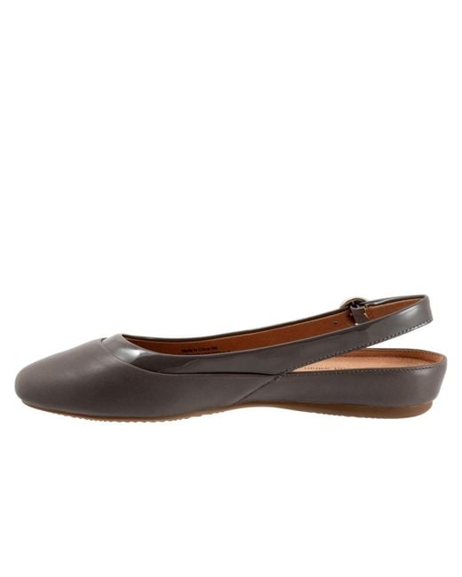 Softwalk® Brown Sheffield Flat
