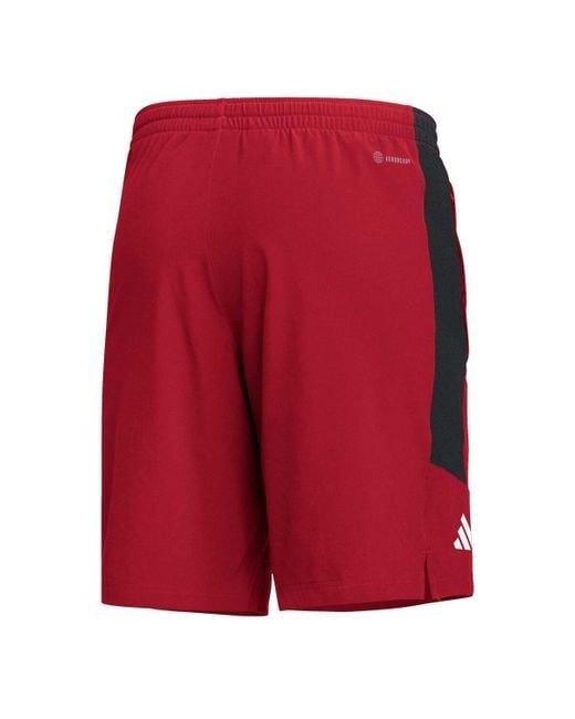 adidas Louisville Cardinals Aeroready Shorts in Red for Men