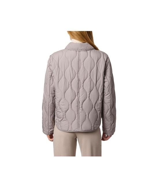 Bernardo Brown Collared Quilted Jacket