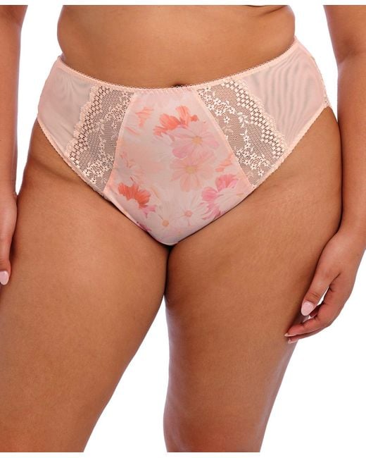 Elomi Pink Plus Size Lucie High Leg Brief Underwear