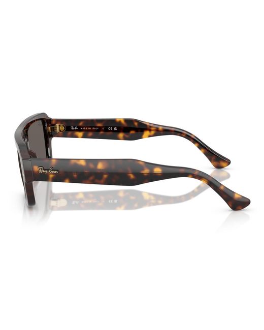 Ray-Ban Brown Lukas Sunglasses