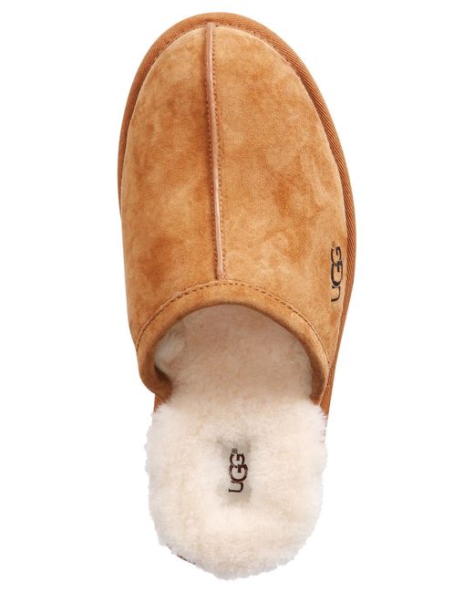 Ugg Brown Scuff Slippers for men