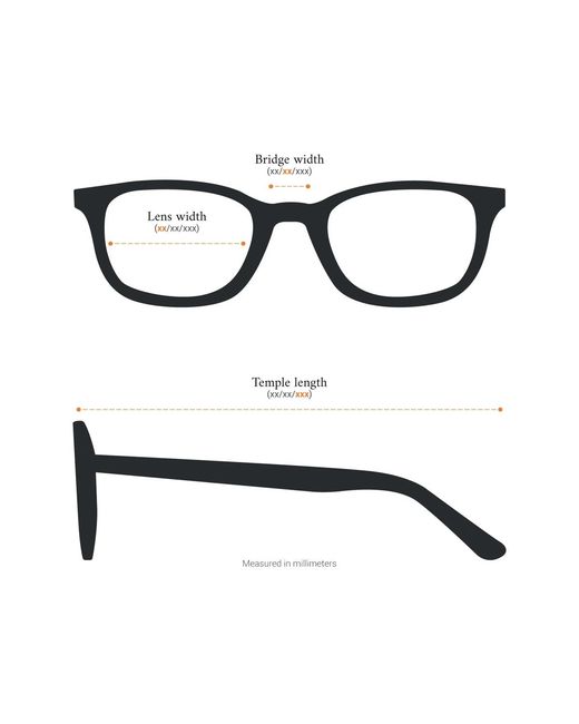 Moncler Multicolor Oval Sunglasses
