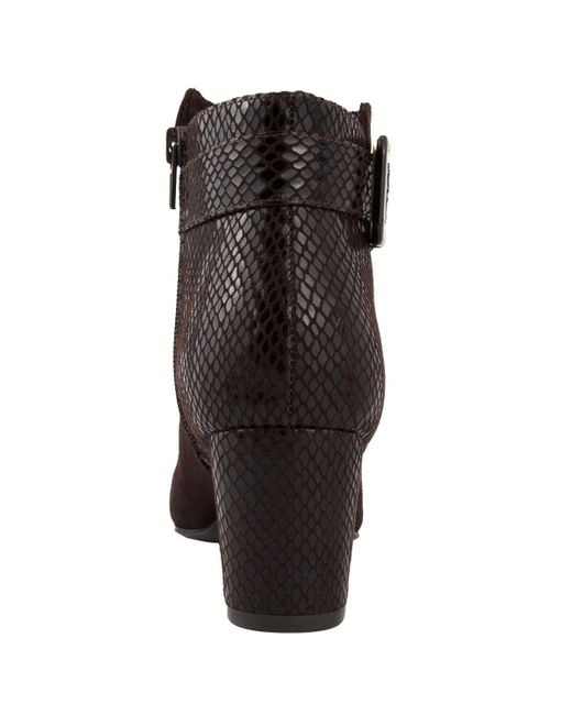 Jones New York Brown Ivyy Buckle Block Heel Booties