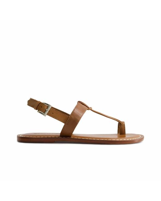 Bernardo Brown Bernardo Maverick 2 Toe Ring Sandal