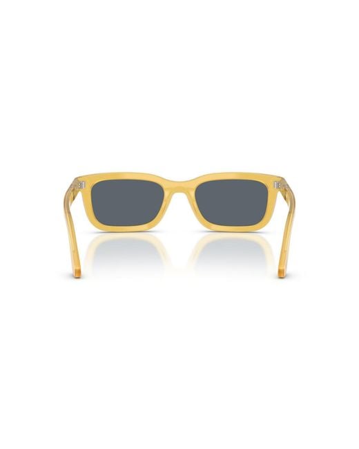 Persol Blue Rectangle Sunglasses