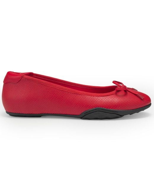 Aerosoles Red Onyx Flat
