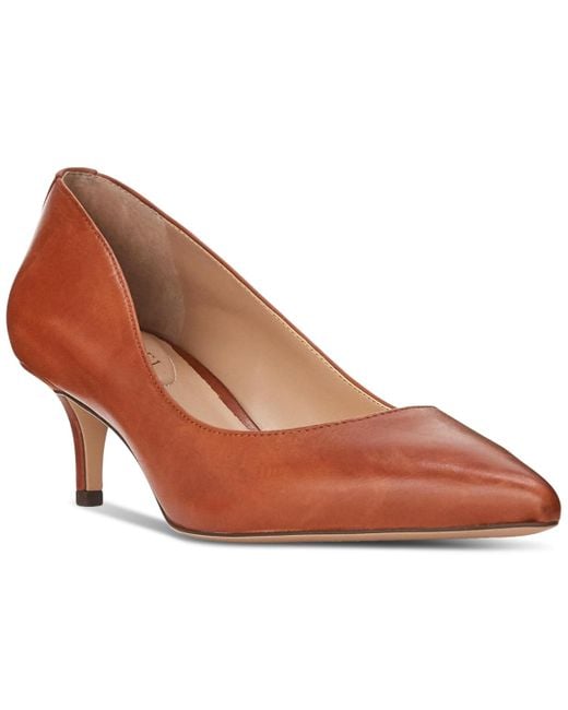 Ralph Lauren Brown Adrienne Pointed-toe Pumps