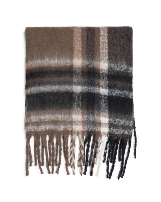 Belle & Bloom Brown Timeless Scarf