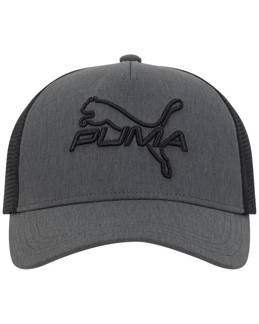 PUMA Gray 3d Embroidered Logo Cap for men